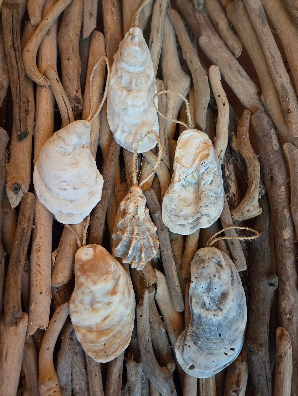 Natural Oyster Shell Ornament Set - Neutral Coastal Decor